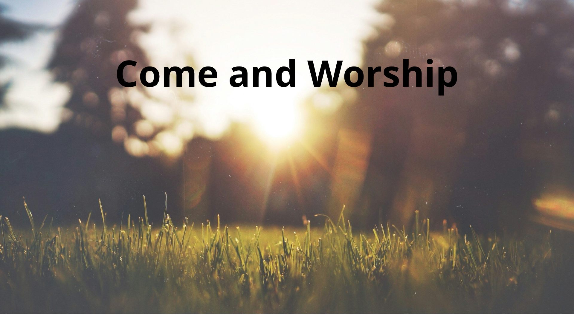 Trinity, Woodbury, Worship Service
